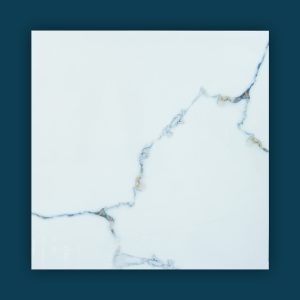 CURIOUS OCEAN Tile