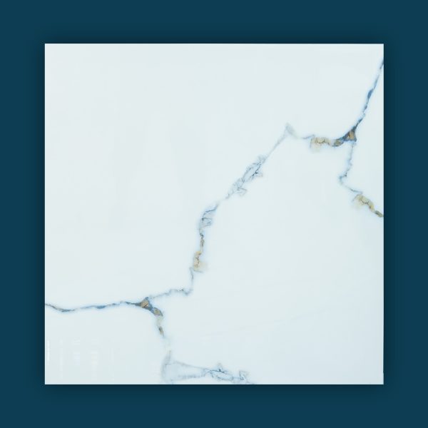 CURIOUS OCEAN Tile